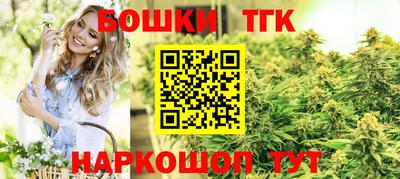 амф Дубна