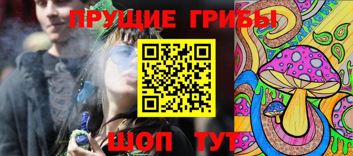 Галлюциногенные грибы прущие грибы Жигулёвск
