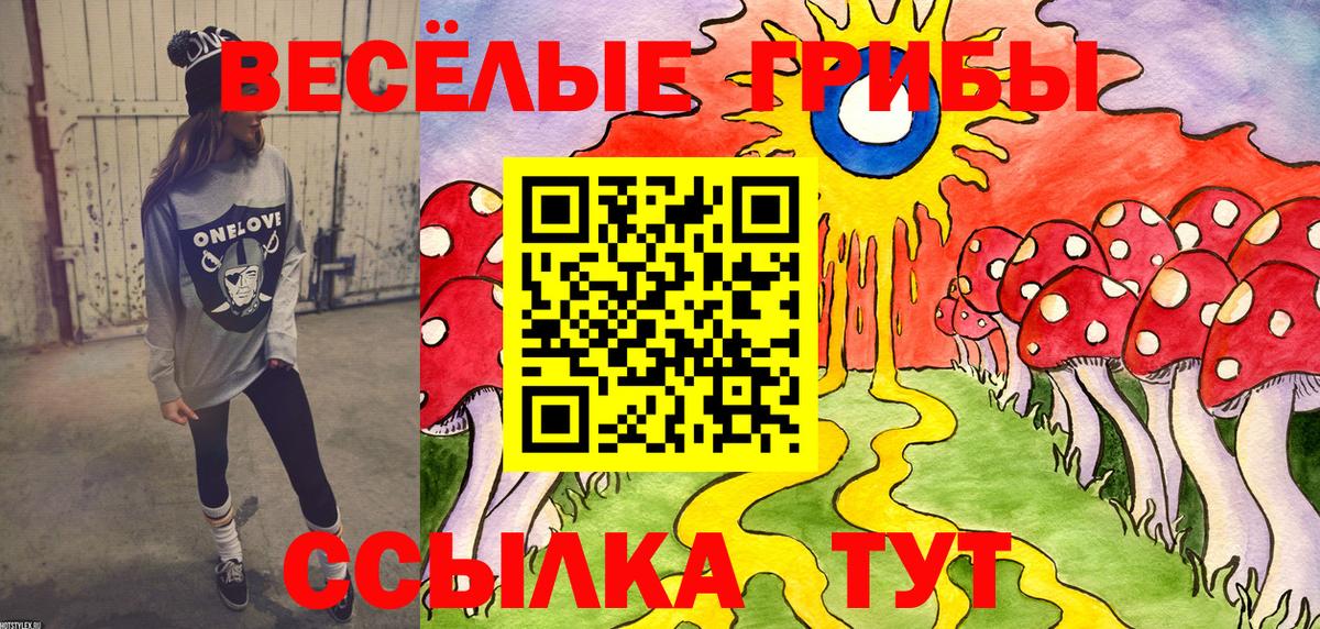 Галлюциногенные грибы GOLDEN TEACHER  Галлюциногенные грибы Cubensis  Жигулёвск 